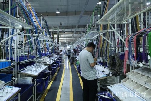 协同发展谱新篇丨数智赋能 产业筑基 廊坊在京津冀协同中打造增长新引擎