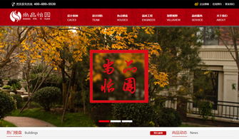 廊坊企业数字化转型的坚实伙伴 迅腾网络网站建设经典案例解析